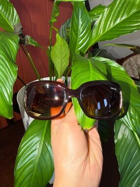 Coach Brown Tortoiseshell Oversized Sunglasses